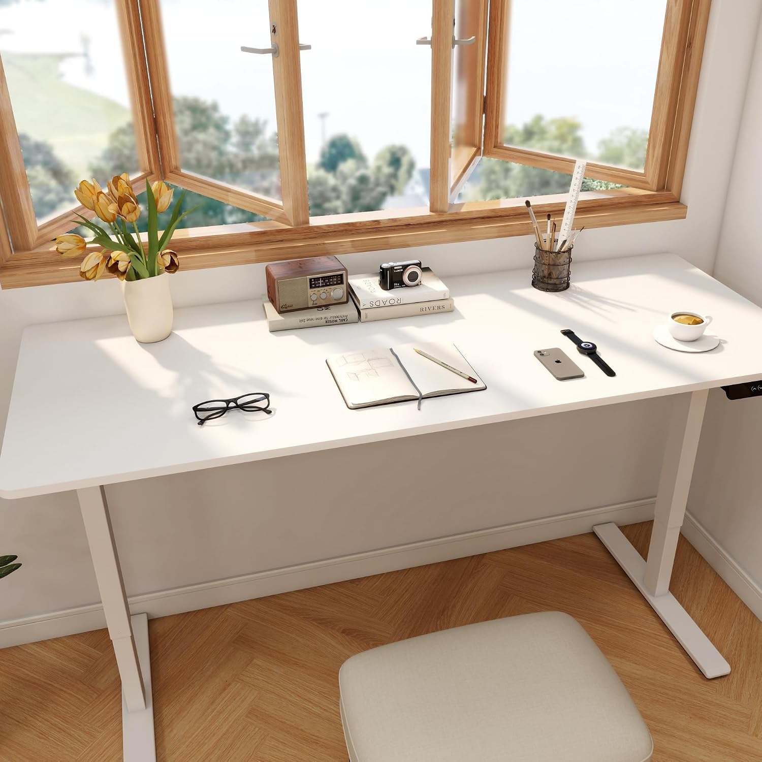 Grande Scrivania Elettrica Reg - Desk Setup Dual Monitor recensione e prezzo
