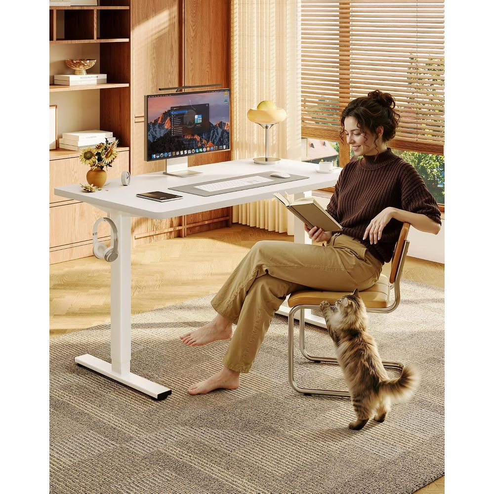 EN1 Scrivania regolabile in al - Desk Setup Dual Monitor recensione e prezzo