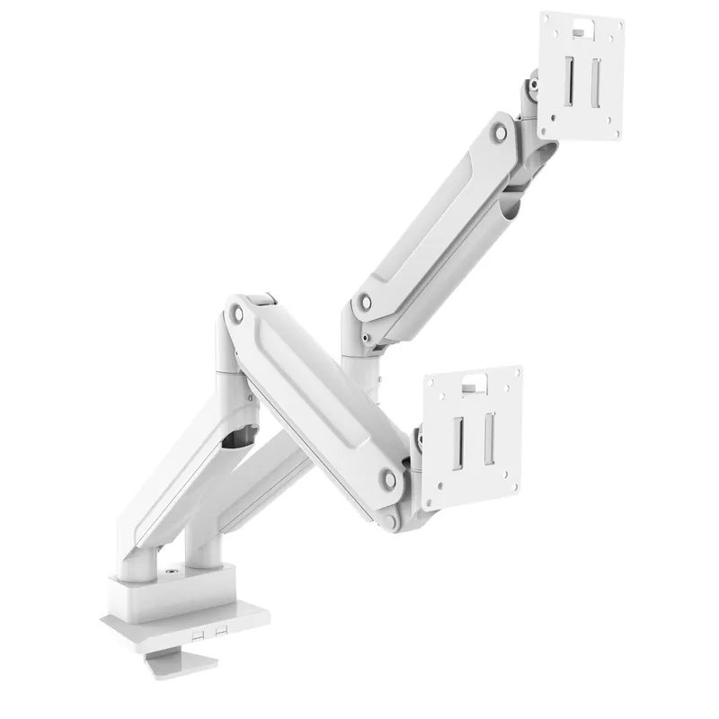 Supporto per Monitor a Doppio  - Desk Setup Dual Monitor recensione e prezzo